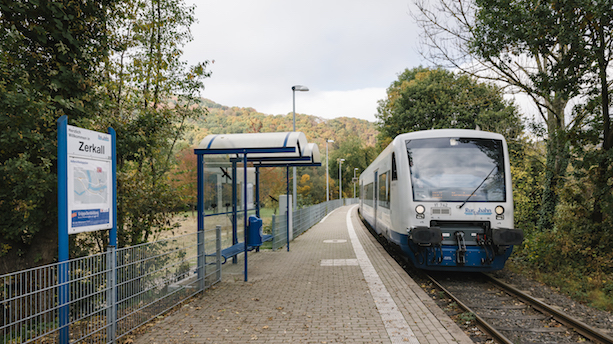 Ein weiß-blauer Zug vom Typ Regioshuttle RS1 steht am Bahnsteig der Haltestelle Zerkall.