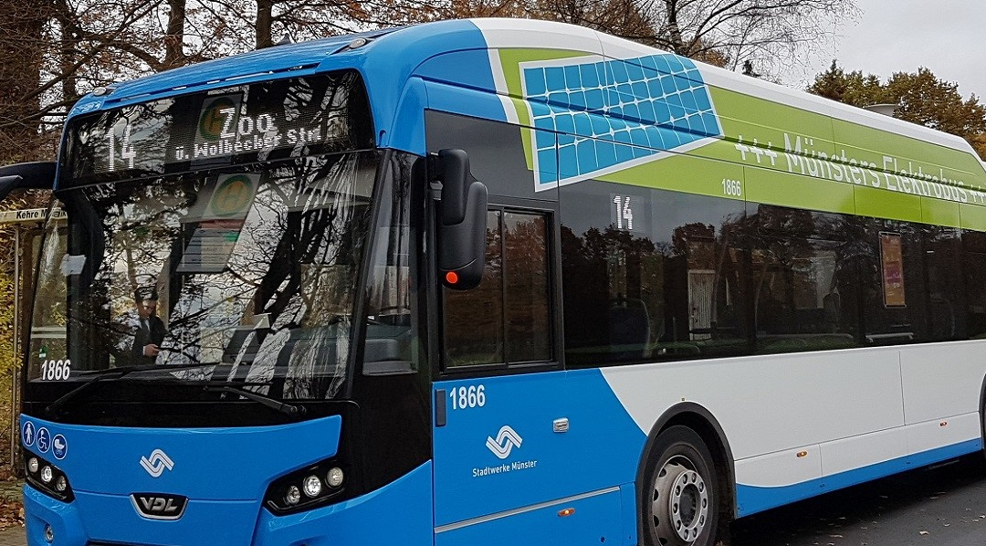 Ein blau-weiß-grüner Elektrobus der Stadtwerke Münster mit Fahrtziel Zoo steht an einer Straßenseite.