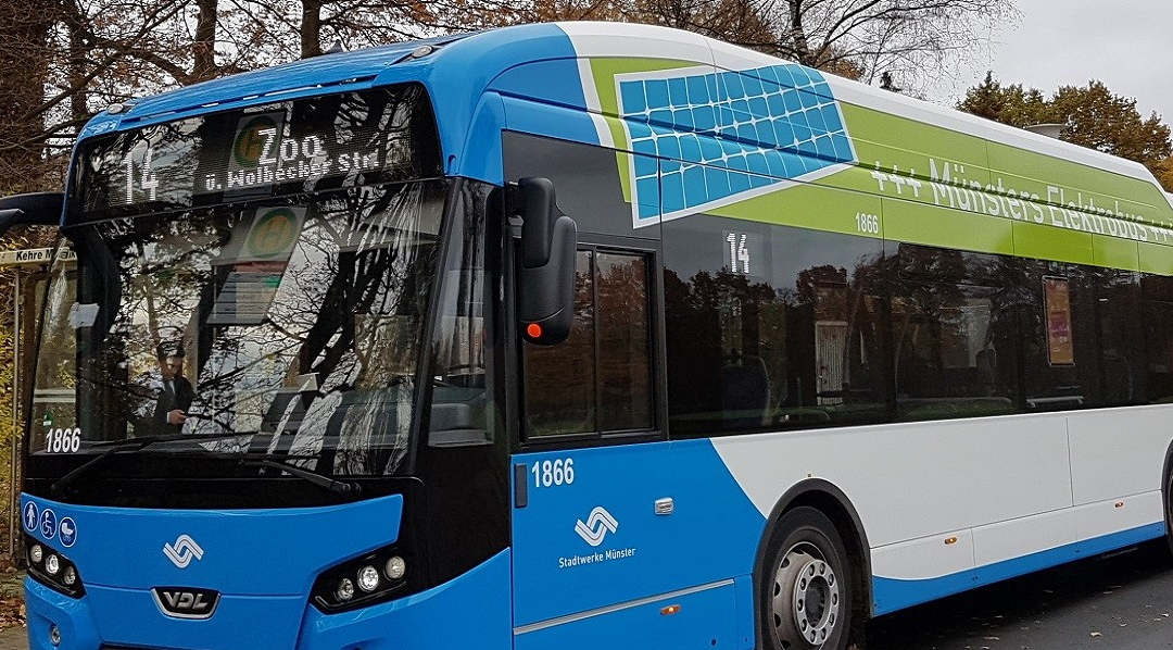 Ein blau-weiß-grüner Elektrobus der Stadtwerke Münster mit Fahrtziel Zoo steht an einer Straßenseite.